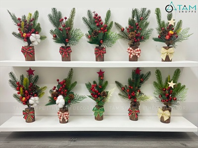 Chậu thông mini để bàn cành đỏ mọng cao 28cm đế gỗ [Nhiều kiểu] CHAUCAYGIA-19